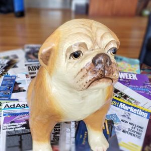 photo of Addy The Ad Dog sitting on magazines