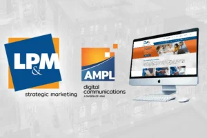 DM Consulting Group Website Graphic